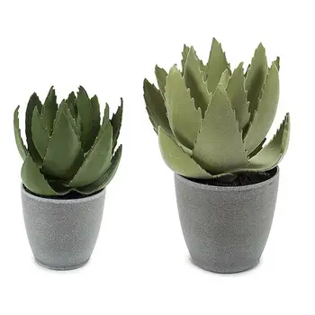 

Plant pot
