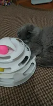 Ball Cat-Toys Play Cat Intelligence Tower-Tracks-Disc Training Amusement-Plate