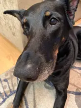 Light-Sandals Slippers Lining Sports-Shoes Outdoors Breathable COCA Women AGUQ002 Leisure