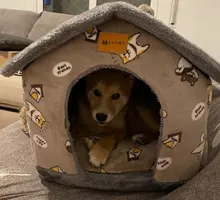 Bed-Mat Basket Kennel Sofa Pet-Products Dog-House Cat-Nest Puppy Cave Dogs Foldable Small