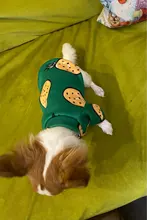 Warm Dog Sweatshirt Puppy-Clothes Dog-Costume Soft-Fleece Chihuahua Winter Yorkshire