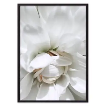 

Poster in the frame heart of Aster