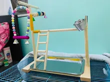 Perch-Stand Ladder Feeder Playground Bird Parrot with Wooden Platform Gym Cups Interactive-Toys