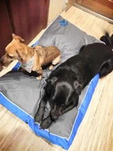 Dog-Bed-Cushion Blanket-Mat Sofa Dog-House-Pad Pet-Nest Puppy Animals Large Dog Breathable