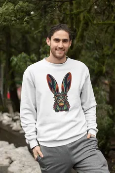 

Angemiel Wear Colorful Rabbit Male Sweatshirt