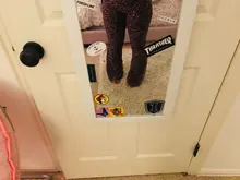 Sweetown marrón leopardo Y2K Joggers de cintura alta pantalones doble capa de red E chica estética Pantalones mujer pantalones de chándal