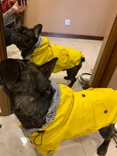 Abrigo para perros, chaqueta impermeable para perros pequeños, medianos y grandes, impermeable, sudaderas deportivas para perros, ropa de moda para mascotas