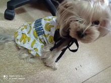 Vestido bonito de fruta para perros, Ropa de verano para pareja de mascotas, chaleco para perros pequeños, Chihuahua