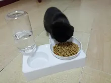 Food-Bowl Raised-Stand Pet-Cat-Bowl Water-Fountain Automatic-Feeder Drinking For Cats
