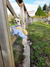 Overalls Sweaters Jacket Pet-Costume Yorkies Dogs Coat Small 