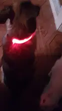 Pet-Supplies Collar Dog-Leash Flashing Pet-Dog Dogs Fluorescent Night-Safety Glow-In-The-Dark