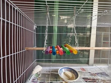 Birds Toy Pet-Supplies Nest Swing Cockatiel Parrot Budgie Parakeet Hammock Cage-Hut Hanging-Toy