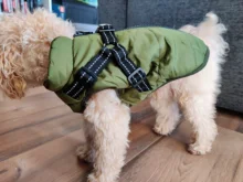 Vest Coat Jacket Harness Dog-Clothing French-Bulldog-Pet Dogs Small Waterproof Winter