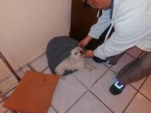 Bed Sleeping-Bag Puppy-Cave-Bed Small Dog Soft-Fleece Warm Cat 4 Winter Pet-Dog Different-Size