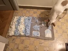 Toys Feeder Food-Intelligence-Toy Puppy Slow-Dispensing Dog-Puzzle Training-Games Interactive