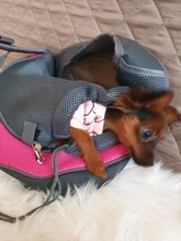 Bonito y mejor transporte de perros, bolsa de viaje al aire libre, bolso de hombro de malla, bandolera de viaje para mascotas, portador de cachorros y gatos