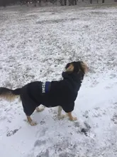 Dog-Coat Winter HOOPET for Dogs Clothing Warm Christmas Big