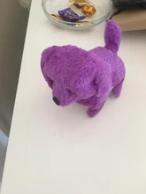 Juguete electrónico para pasear mascotas, juguete electrónico para niños, luz musical, para dejar de lloro, llama la atención, divertido