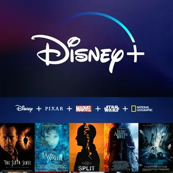 

12 months disney plus disney + Work on PC IOS Android Smart TV case tablet PC 1 screen