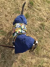 HOOPET Large Coat Down-Jacket Winter New Warm Autumn for Dogs Dog-Prints Overalls Leisure-Style