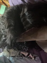 Angelbella-Peluca de pelo largo rizado para mujeres negras, pelo corto de 8 pulgadas, 100%, corte Remy, n. ° NC, 13x1