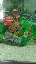 Aquarium Decorative Grass-Plant Fish-Tank Simulation PVC Environmental-Protection-Materials