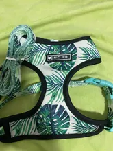 Pet-Harness Vest Lead-Leash Puppy-Frenchie Dogs Walking-Dog Pug Small for Bulldog Medium