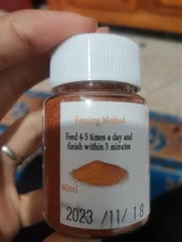 Fish-Food Shrimp-Shelling-Eggs Artemia-Egg Betta Brine Aquarium Small for Cysts Quality