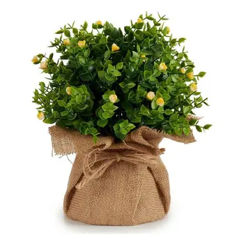 

Decorative Plant Plastic (20 x 28 x 20 cm)