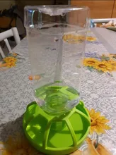 Nuevo reptil bebedor de agua dispensador comida lagarto de plato redondo de la botella de la bebida