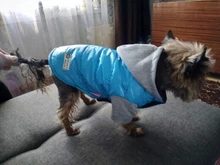 Coat Pet-Dog-Jacket Winter Puppy Hood-Size Warm with 8-18 5-Colors Thickening