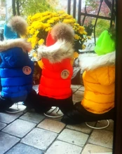 Jacket Bulldog-Clothing Pet-Coat Puppy Dogs Pug Chihuahua French Waterproof Winter Small
