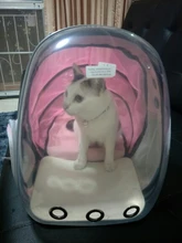 Bolsa de viaje portátil para gatos y perros, cápsula espacial transpirable de alta calidad, portador transparente desechable, mochila para mascotas