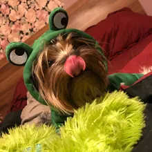 Dog Winter Warm Clothes Cute Plush Coat Hoodies for bulldog Pet Costume Jacket