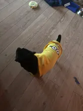 Ropa con estampado de dibujos animados para perro, abrigo cálido para invierno, chaqueta para perros pequeños, Chihuahua, Bulldog Francés, disfraz de peluche, ropa para mascotas