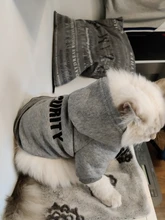 Seguridad ropa para gato mascotas abrigos para gato chaqueta sudaderas con capucha para los gatos traje cálido ropa para mascotas ropa de conejo Animales Mascotas traje para perros 30