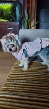Warm Pet Dog Dress Vest Jacket For Dogs Cats Winter Chihuahua Yorkies Clothes Maltese