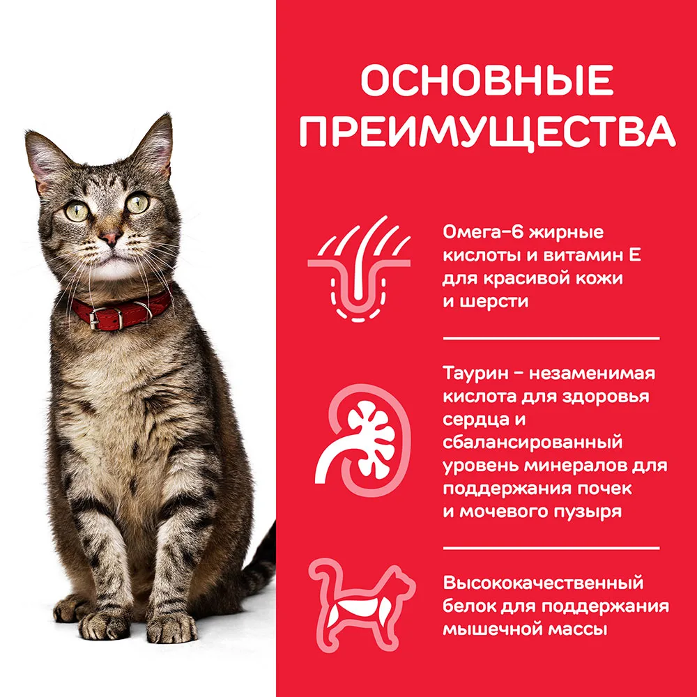 Влажный корм Hill's Science Plan для взрослых кошек для жизненной энергии и иммунитета, пауч с говядиной в соусе, 85 г*12