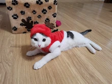 Cat Accessories Puppy-Outfit Santa-Costume Christmas Dogs Kitten Small Warm Hoodie Pet-Dog