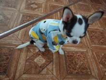 Traje para perros con estampado de animales, abrigo suave de algodón para mascotas, Jersey, camisa, chaqueta, suéter, ropa para mascotas