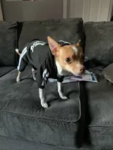 Sweater Puppy Adidog Small Four-Legged Chihuahua Luxury Dog Winter New Autumn And Pet-Warm