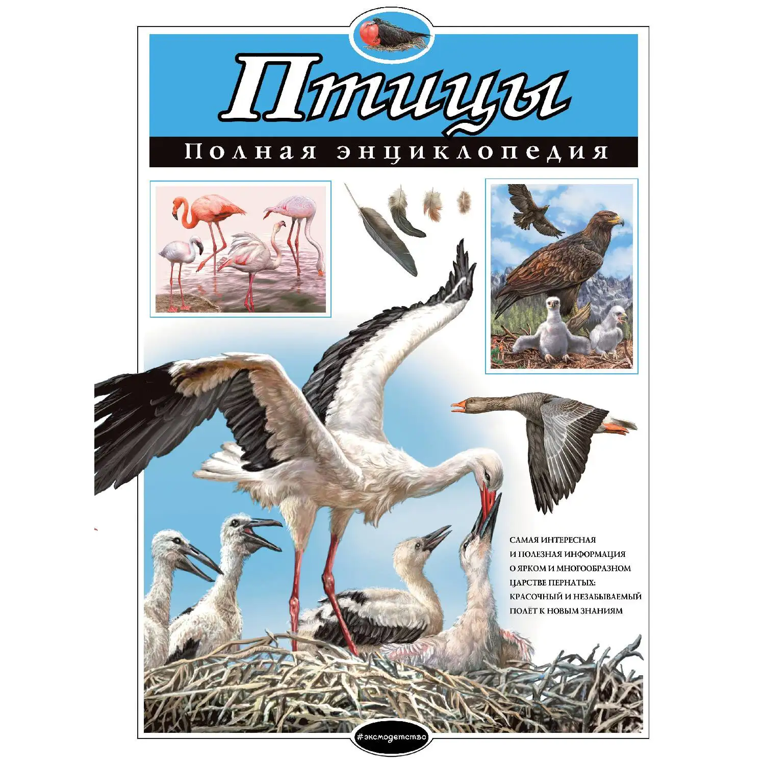 Птицы. Полная энциклопедия(Ю.К. Школьник, 978-5-699-83340-5, 256 стр., 6