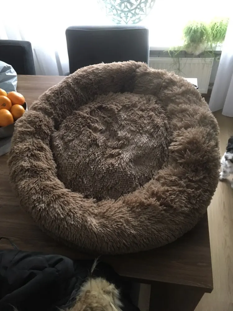 Customer photo