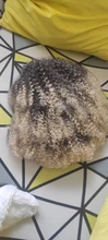 Pelucas Afro rizadas de pelo corto con flequillo para mujeres negras, cabello sintético africano sin pegamento, Cosplay, Lizzy de alta temperatura