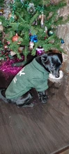 Sweatshirt Coat Puppy Yorkies Dog Chihuahua Cotton Fish-Bone-Print for Small Cats Cozy