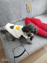 Costume Puppy-Clothes Love-Rainbow-Vest PETCIRCLE Pet-Cat Dog Winter New Fit And Four-Color