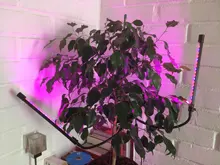 Phyto-Lamp Grow-Light Flower Seedlings Goodland USB Full-Spectrum For Plants LED 