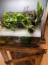 Ultrasonic-Humidifier Atomizer Fogger Mist-Maker Water-Fountain Mini 36mm 24V with Eu-Plug