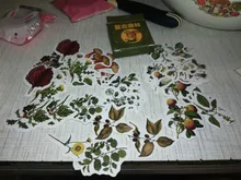 46 unids/caja Retro serie de bosques planta de decoración pegatinas planificador Scrapbooking papelería coreana pegatinas diario