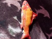 Pet Soft Plush Creative 3D Carp Fish Shape Cat Toy Gifts Catnip Fish Stuffed Pillow Doll